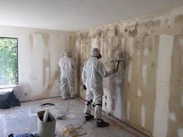 Best Water Damage & Mold Remediation  in Merritt Island, FL